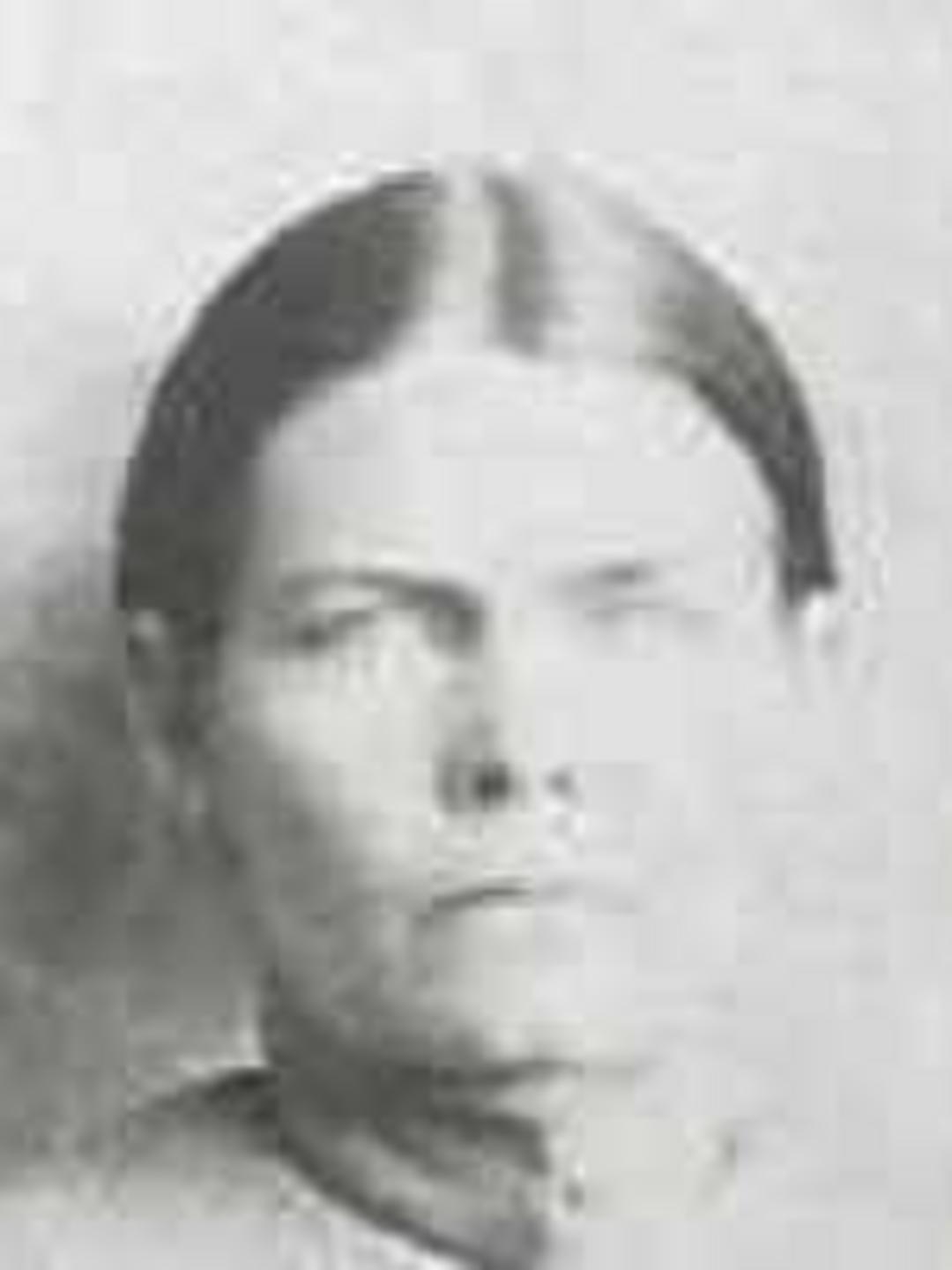 Elmira Ann Mecham (1844 - 1919) Profile